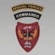FFI　Afghan National Army Commando パッチ セパレートタイプ